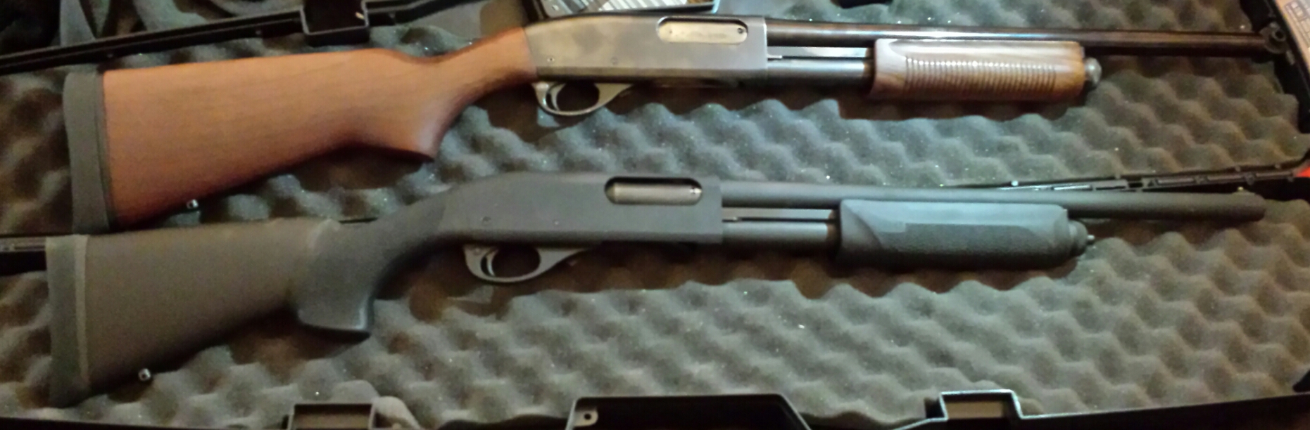 One police, one hogue.