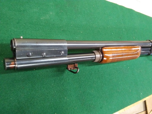 20181028_104832.jpg