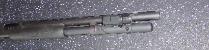 DSC00490.JPG