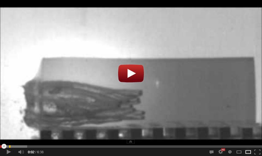 Click for the video: