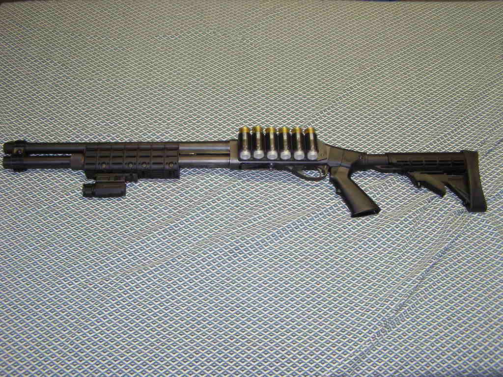 PB223273.JPG