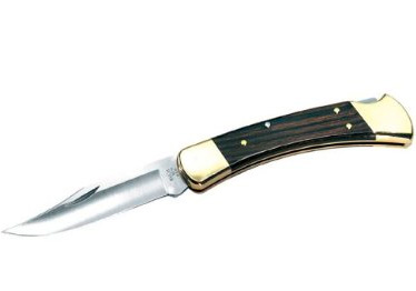 Buck 110 Folding Hunter, Lockback Folding Knife Buck 110 Folding Hunter, Lockback Folding Knife