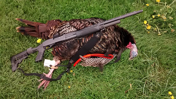 Remington 870 for Turkey Hunting