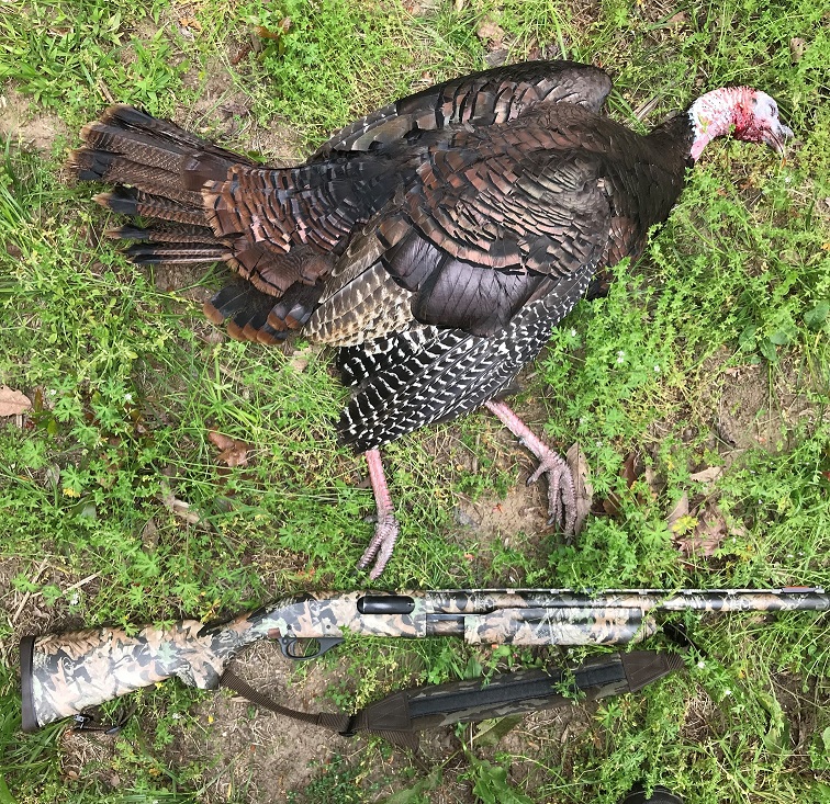 Turkey Hunting with Remington 870