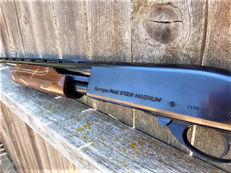 870 LW.jpg