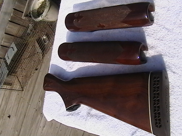 IMGA0075.JPG