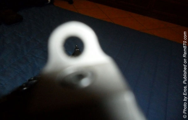 Scattergun Technologies Ghost Ring Sights