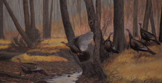 2012 Spring Turkey Season 2012 Spring Turkey Season