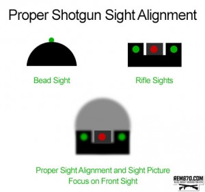 Proper Shotgun Sight Alignment and Sight Picture