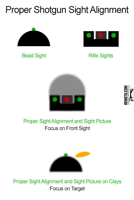 Proper Shotgun Sight Alignment and Sight Picture