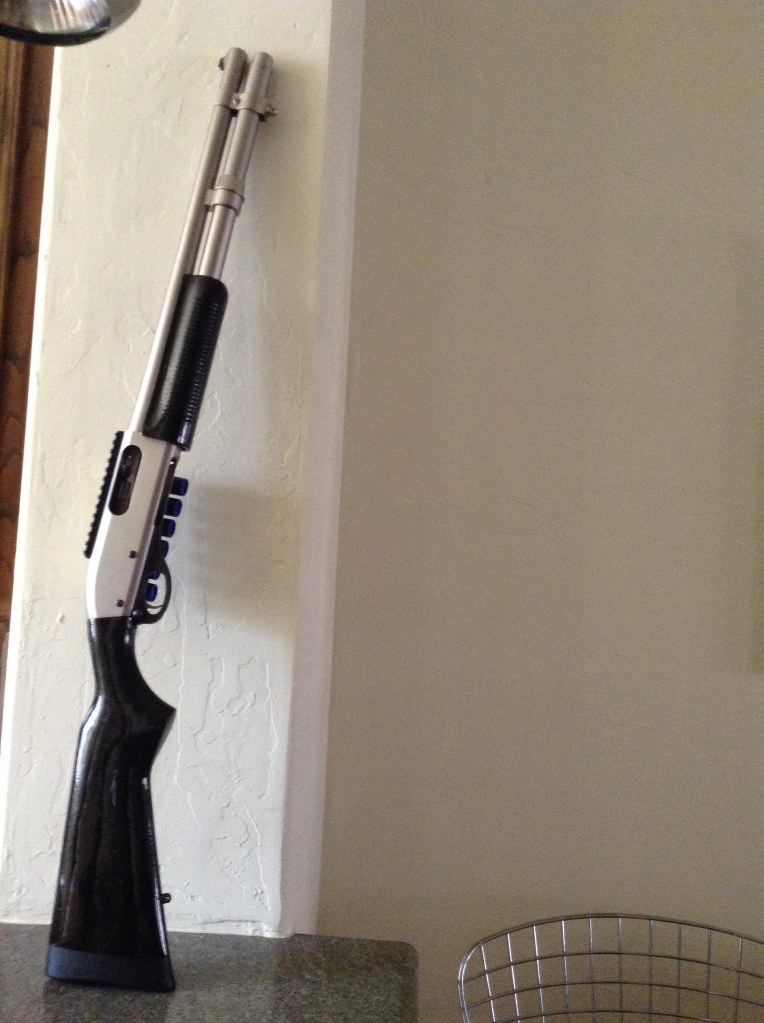 Remington 870 Marine Magnum