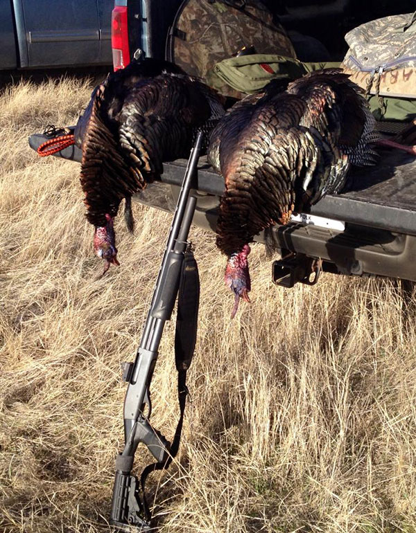 Turkey Hunting Remington 870
