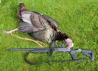 Turkey Hunting Remington 870