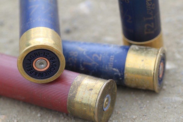 The Best Shotgun Ammo for Home Defense