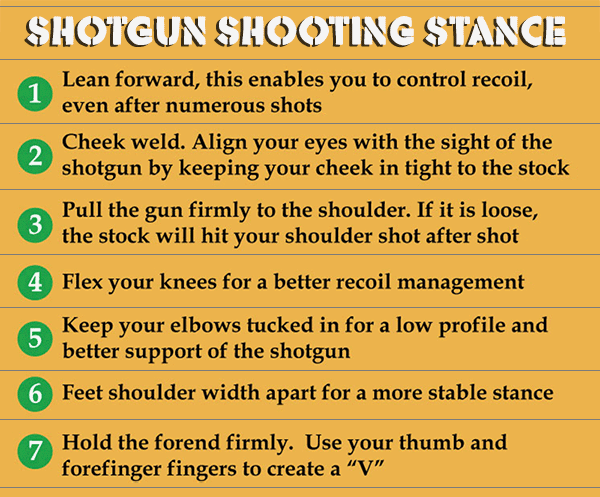 Infographics: Shotgun Shooting Stance