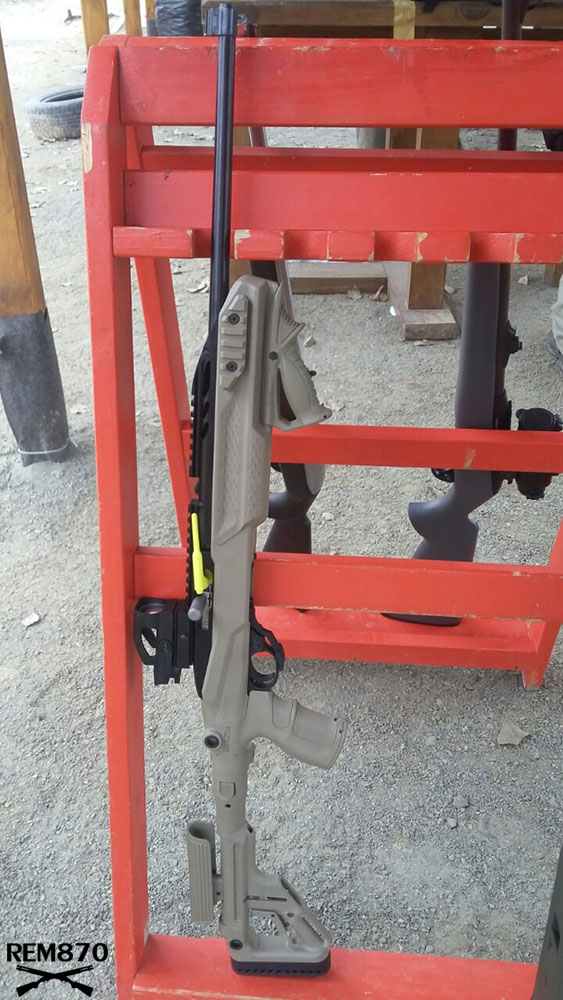 Ruger 10/22 with Fab Defense Stock