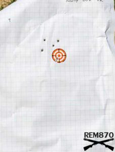 Accutip Slugs on 100 Meters (109 yards) with Fully Rifled Barrel