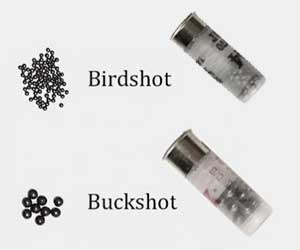 Shotgun Shells Explained